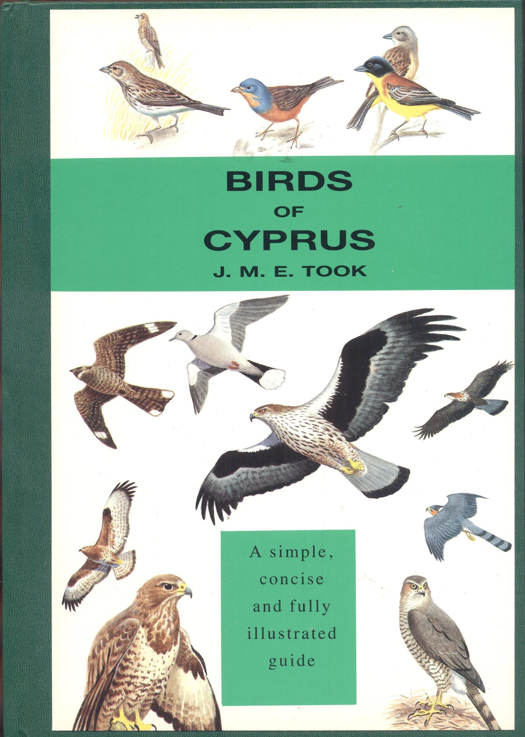 Birds of Cyprus by Took