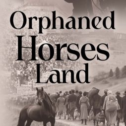 Orphaned Horses Land