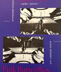 Bize Dair / Pink Butterflies : Short Stories / Poems